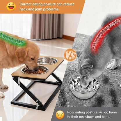 Elevated Dog Bowls, Adjustable Raised Dog Bowl Stand with 2 Stainless Steel Food Bowls 20°Tilted Water Bowls for Medium Small Sized Dogs (Black, Medium)