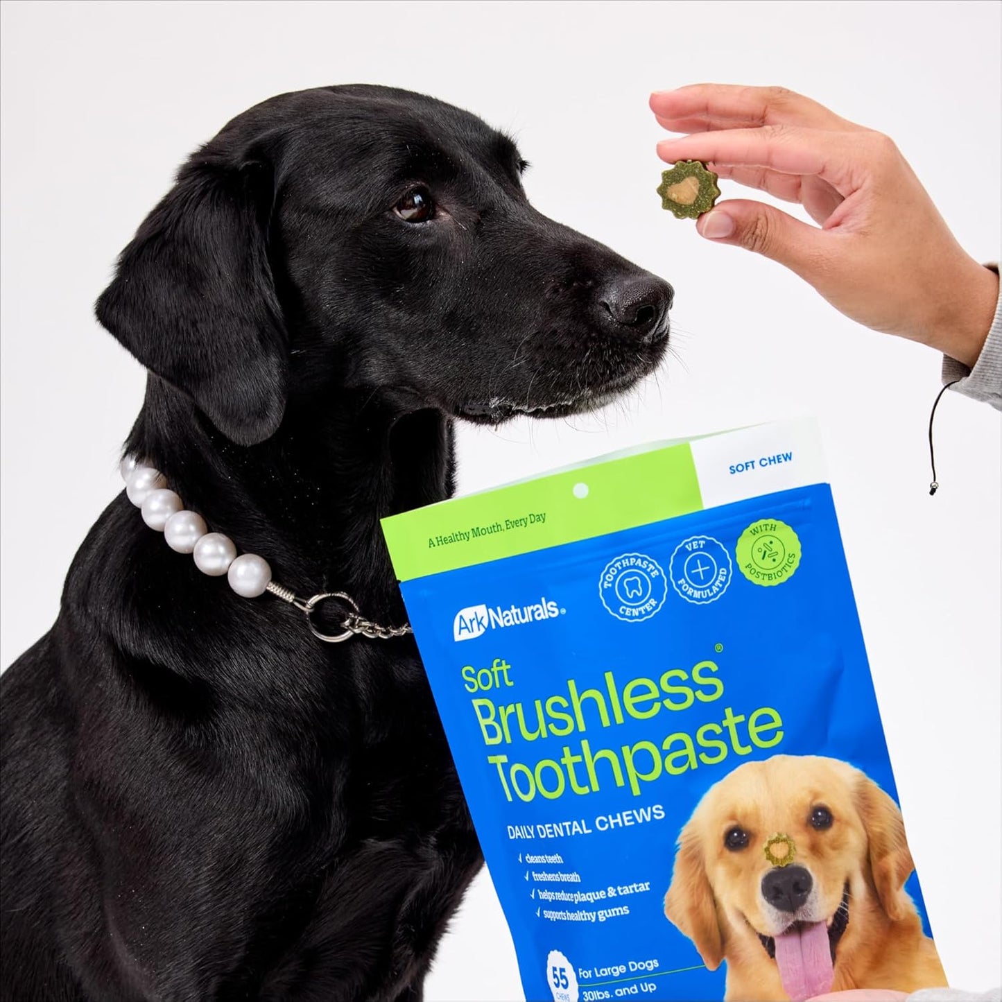 Ark Naturals Soft Brushless Toothpaste, Dog Dental Chews for Small Breeds, Freshens Breath, Unique Texture Helps Reduce Plaque & Tartar, 12oz, 1 Pack