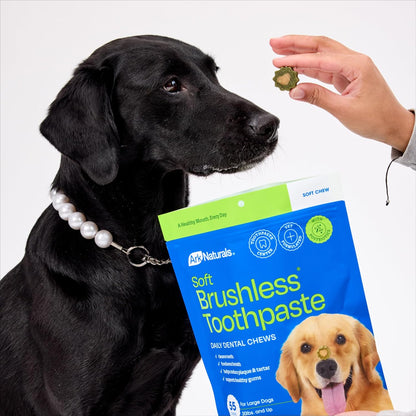 Ark Naturals Soft Brushless Toothpaste, Dog Dental Chews for Small Breeds, Freshens Breath, Unique Texture Helps Reduce Plaque & Tartar, 12oz, 1 Pack