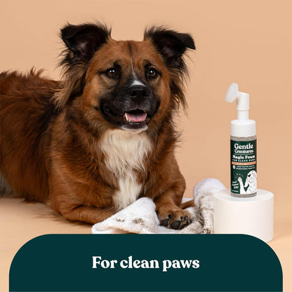 Magic Foam Paw Cleaner for Dogs & Cats, No-Rinse Foaming Scrubber Brush for Dirty, Muddy Paws – for Small, Medium & Large Dogs, Puppies, Kittens (5 fl oz)
