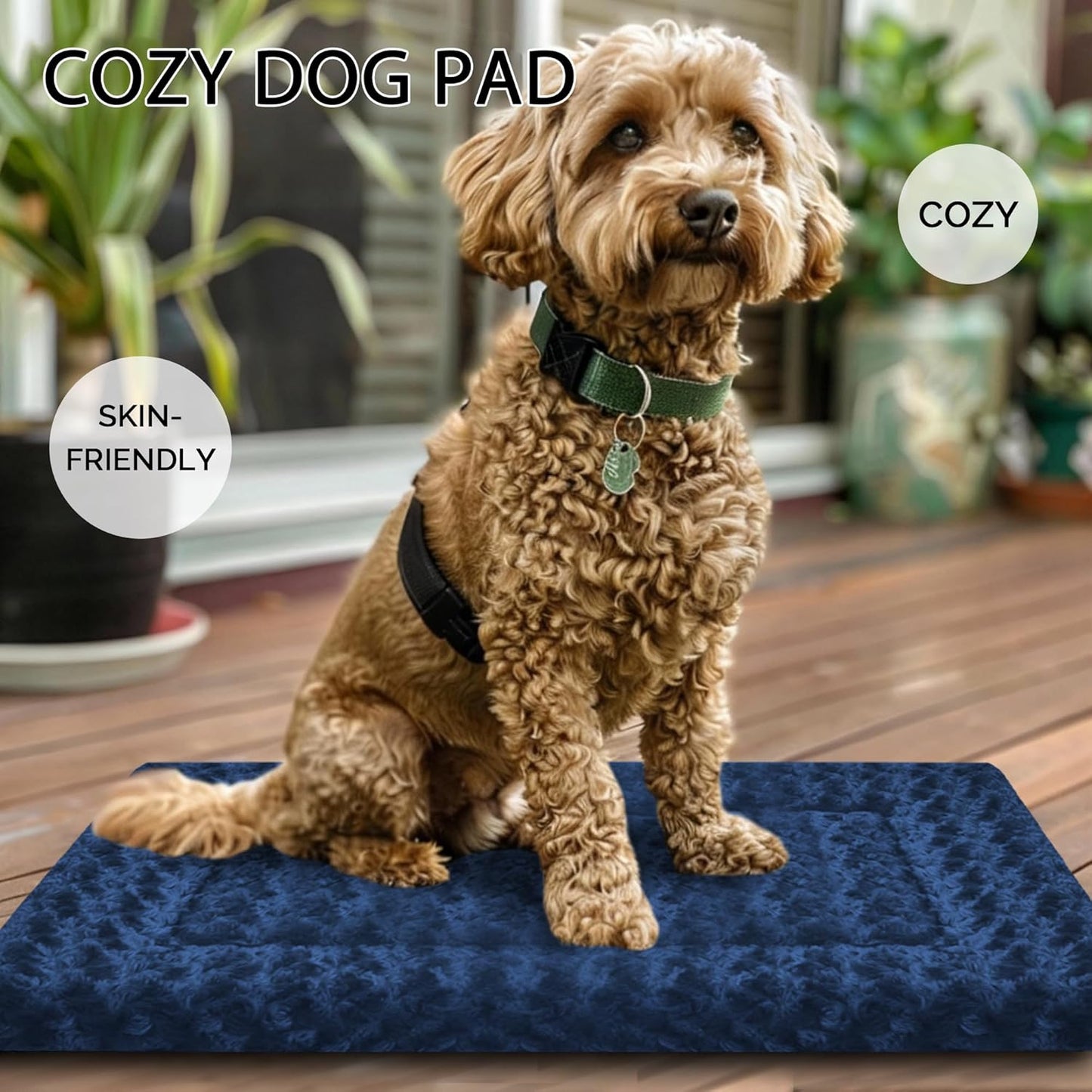 Dog Bed Mat, Reversible Crate Pad & Cute Dog Bed - Machine Washable Kennel Mat with Ultra Soft for Small Dogs (Cool/Warm), 24" x 18", Grey&Star