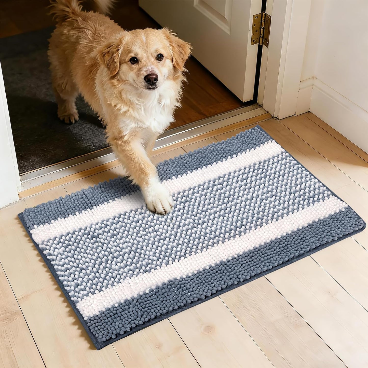 Dog Door Mat for Muddy Paws - Absorbent Quick-Dry Non-Slip Washable Chenille Pet Rug, Indoor Entryway Mat for Front Door & Crate (Brown, 24" L*16" W)