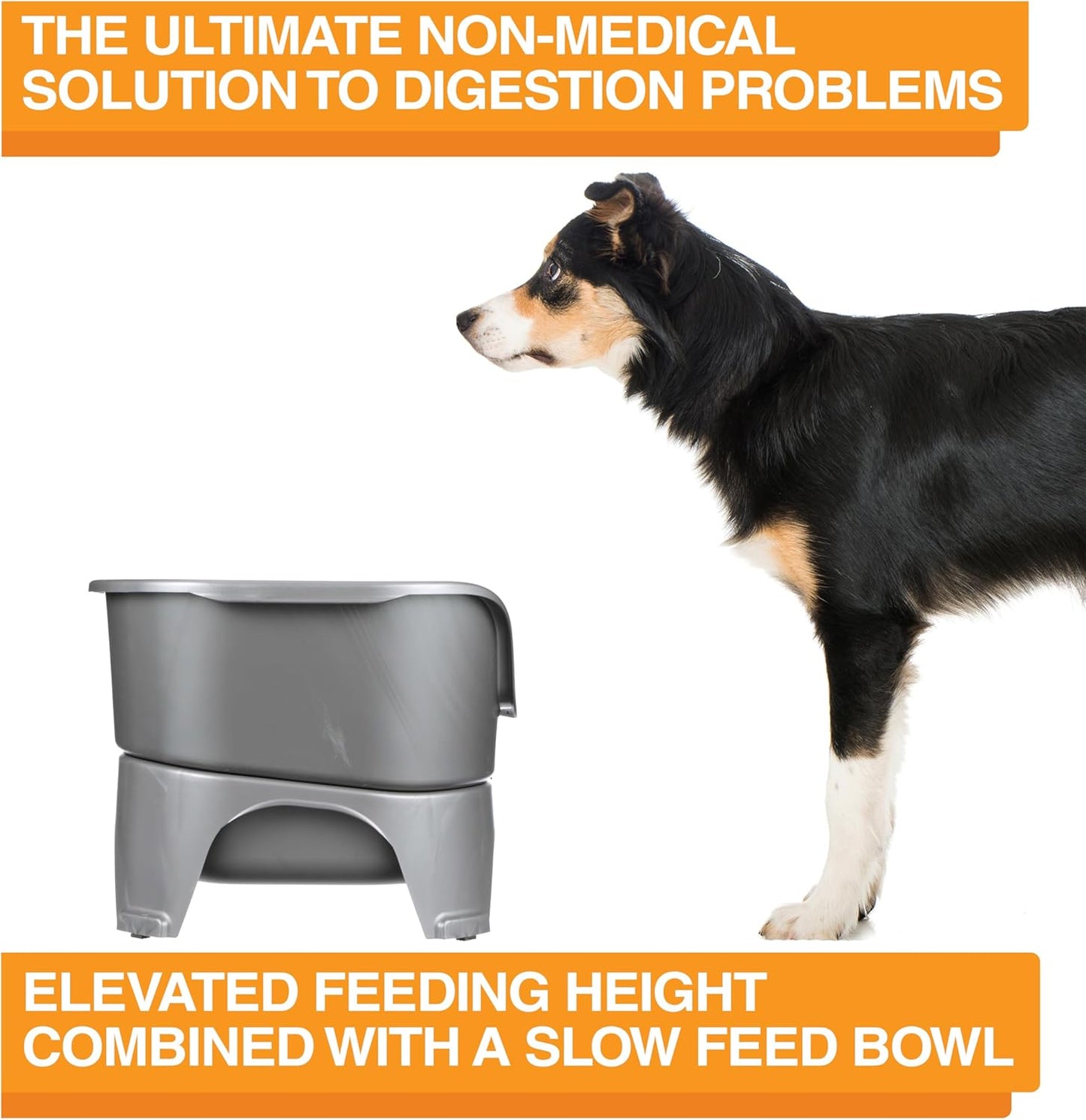 Neater Feeder Express Mess Proof Dog Bowls Elevated for Small Breeds under 15 Lb, Made in USA, No Spill Raised Dog Food Bowl Stand, Stainless Steel Food and Water Bowl Set, Feeding Station, Cappuccino