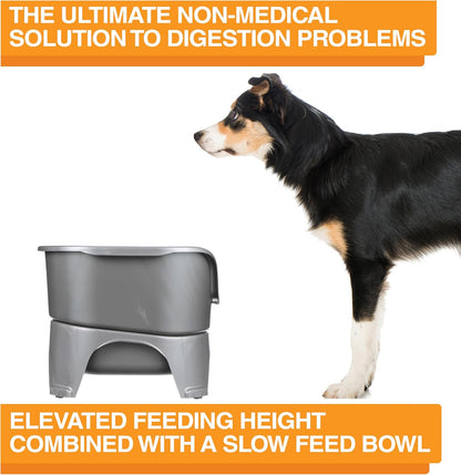 Neater Feeder Express Mess Proof Dog Bowls Elevated for Small Breeds under 15 Lb, Made in USA, No Spill Raised Dog Food Bowl Stand, Stainless Steel Food and Water Bowl Set, Feeding Station, Cappuccino