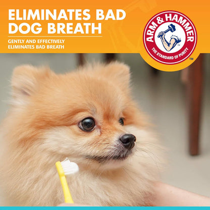 Arm & Hammer for Pets Fresh Breath Enzymatic Dog Toothpaste, Vanilla Ginger Flavor, Safe for Puppies and Adult Dogs, Daily Baking Soda Dental Gel to Eliminate Bad Breath, 2.5 Oz