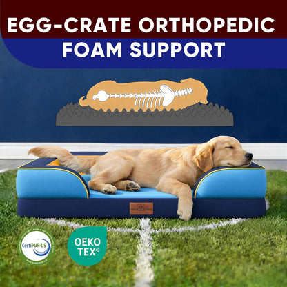 Comfort Expression Orthopedic Dog Bed for Extra Large Dogs 42x30 Inch, Waterproof Egg Crate Foam XL Pet Bed with Removable Bolsters, Dog Couch with Washable Cover & Non-Slip Bottom, Grey - Colors B