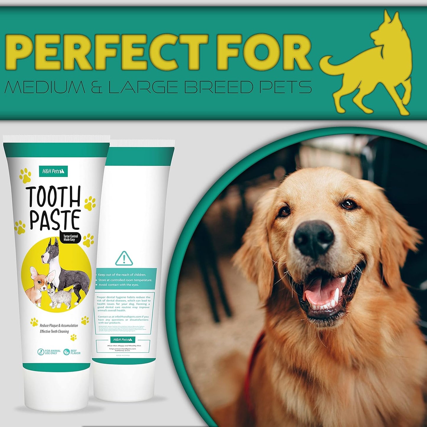 H&H Pets Dog Finger Toothbrushes - Professional Pet Finger Dental Brush Set for Dogs Puppies Cats, Soft Bristles, Size Small 4 Count-Silicon
