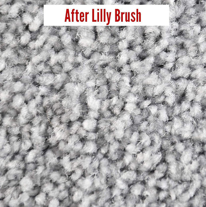 Lilly Brush Mighty Pet Hair Detailer - Carpet Rake & Broom for Pet Hair Removal, Double Rubber Blade, 52" Handle