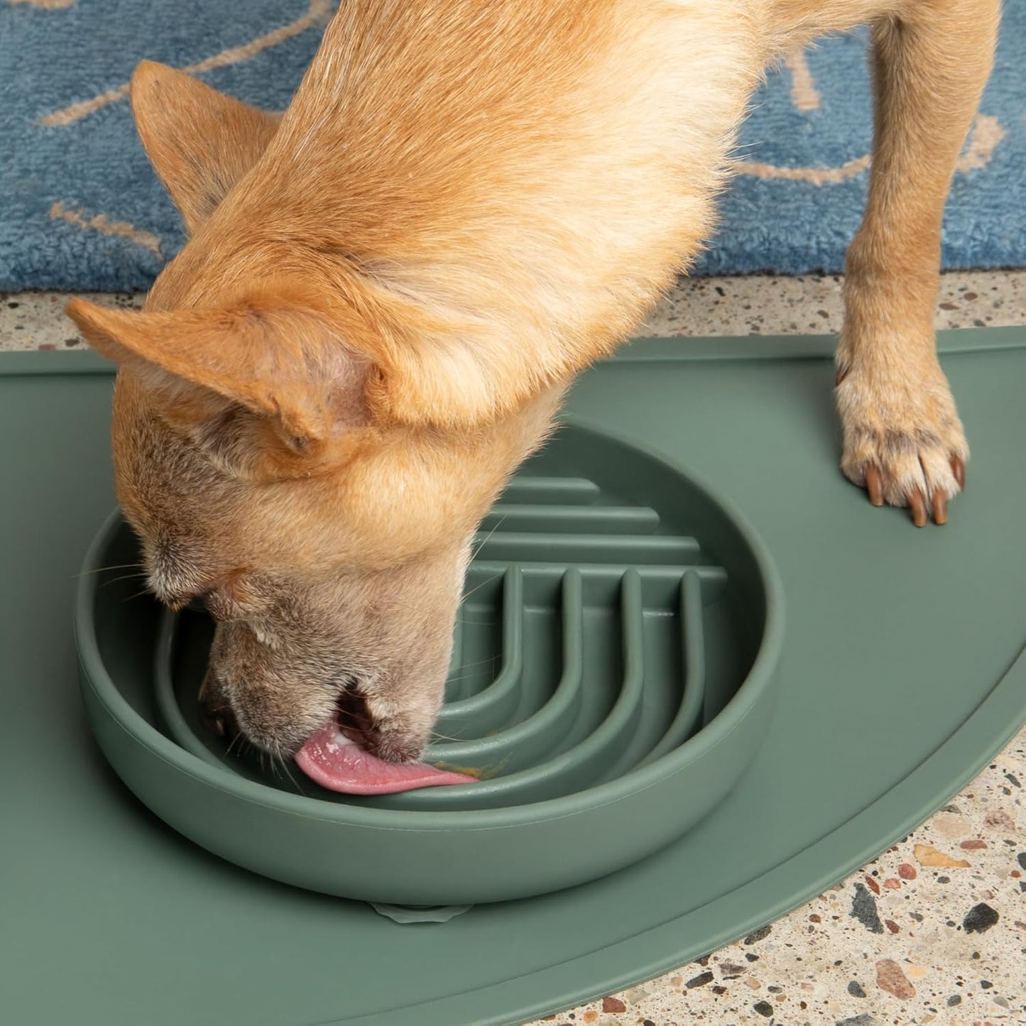 Should We Go? Slow Feeder for Dogs & Puppies, The Slowdown Bowl Silicone Slow Eating, Modern Lick Mat Design, Reduces Gulping, Fits 2 Cups, 7.5” Across x 1.5” Tall, Mealtime Challenge, Medium-Blush