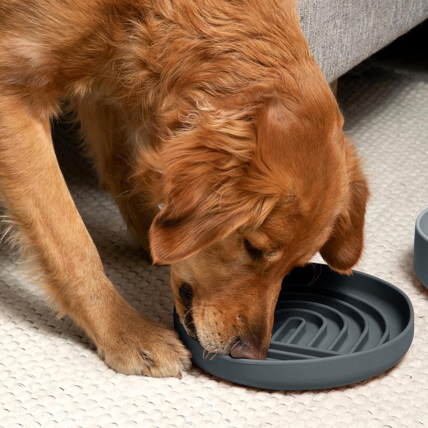 Should We Go? Slow Feeder for Dogs & Puppies, The Slowdown Bowl Silicone Slow Eating, Modern Lick Mat Design, Reduces Gulping, Fits 2 Cups, 7.5” Across x 1.5” Tall, Mealtime Challenge, Medium-Blush