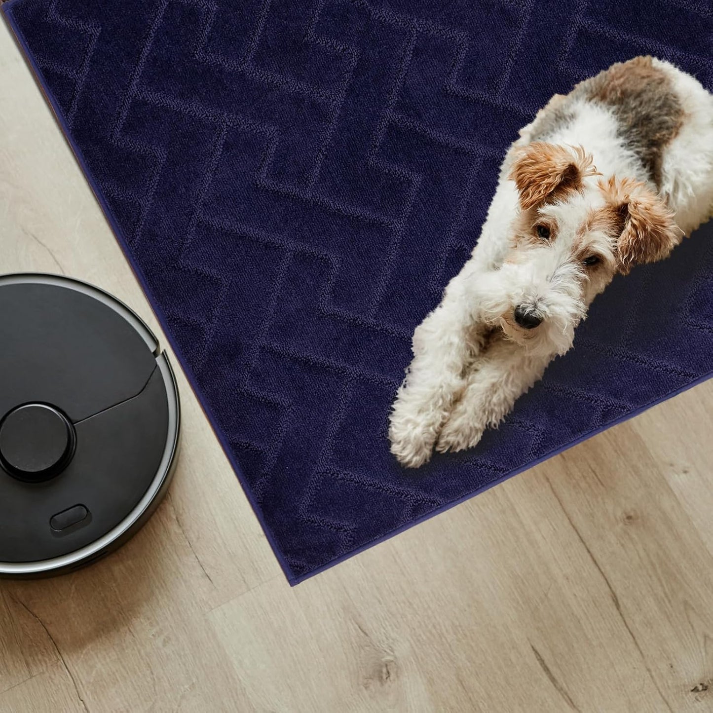 PURRUGS Dirt Trapping Door Mat 20" x 31.5", Non-Slip Machine Washable Entry Rug, Dog Doormat, Indoor Front Door Mat, Super Absorbent Entryway Rug for Muddy Shoes & Paws, Taupe