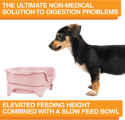 Neater Feeder Express Mess Proof Dog Bowls Elevated for Small Breeds under 15 Lb, Made in USA, No Spill Raised Dog Food Bowl Stand, Stainless Steel Food and Water Bowl Set, Feeding Station, Cappuccino