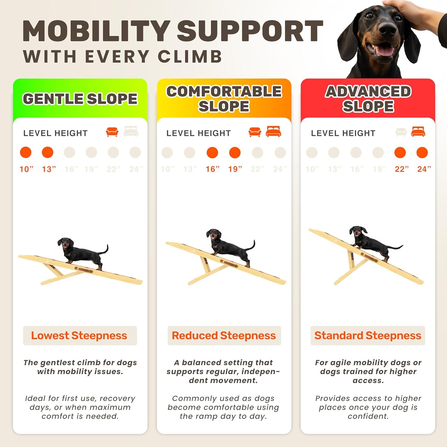 Adjustable Dog Ramp - 50" L x 18.5" W Ramp for Large Dogs to Get on Bed with 6 Incline Levels & Non-Slip Traction Carpet - Also Ideal for Medium & Large Breeds (Natural)