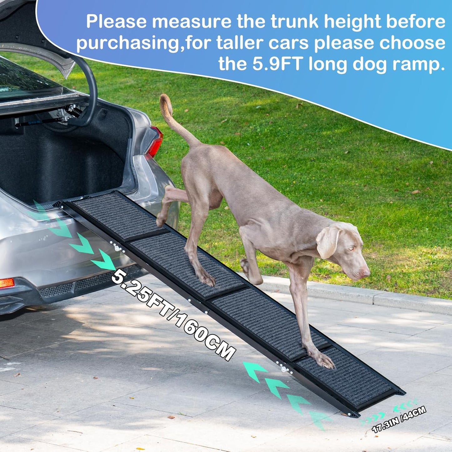 Uross Dog Ramp for Car 71" Long- Collapsible Pet Ramps for Large Dogs SUV Truck Folding Outdoor Dog Ramp for Porch Steps