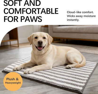 Dog Door Mat for Muddy Paws - Absorbent Quick-Dry Non-Slip Washable Chenille Pet Rug, Indoor Entryway Mat for Front Door & Crate (Brown, 24" L*16" W)