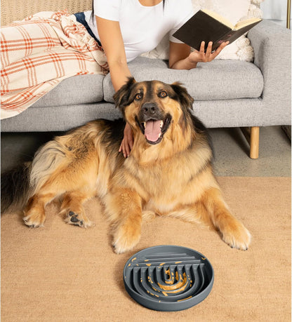 Should We Go? Slow Feeder for Dogs & Puppies, The Slowdown Bowl Silicone Slow Eating, Modern Lick Mat Design, Reduces Gulping, Fits 2 Cups, 7.5” Across x 1.5” Tall, Mealtime Challenge, Medium-Blush