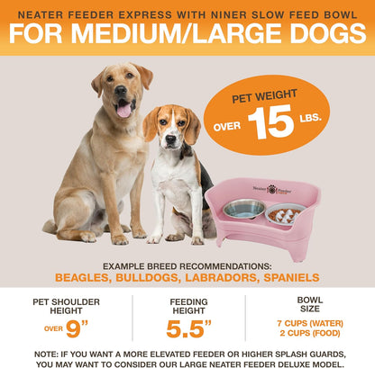 Neater Feeder Express Mess Proof Dog Bowls Elevated for Small Breeds under 15 Lb, Made in USA, No Spill Raised Dog Food Bowl Stand, Stainless Steel Food and Water Bowl Set, Feeding Station, Cappuccino