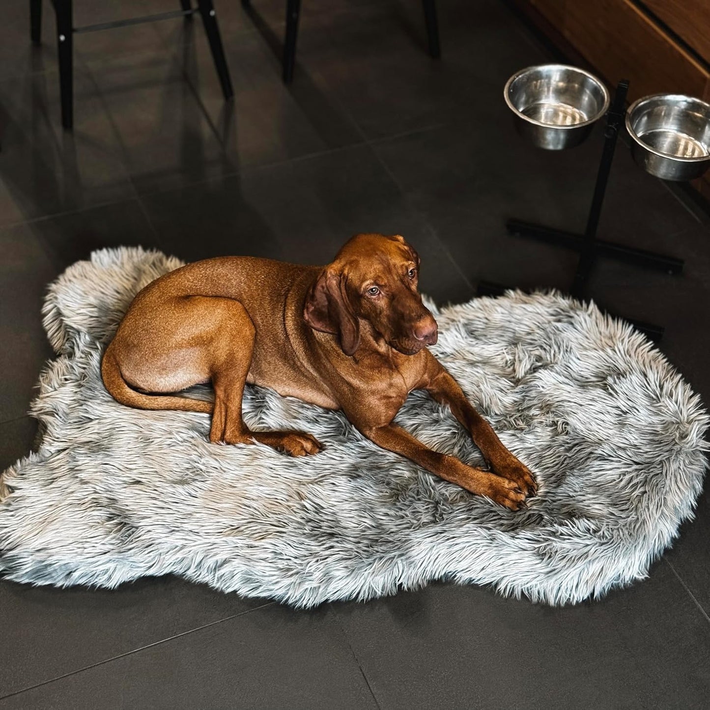 IHAPPYDOG Luxury Faux Fur Orthopedic Dog Bed, Memory Foam Dog Bed for Small, Medium, Large and XL Pets, Fluffy Pet Bed with Waterproof and Washable Cover (White w/Brown Tips, 50"x30")