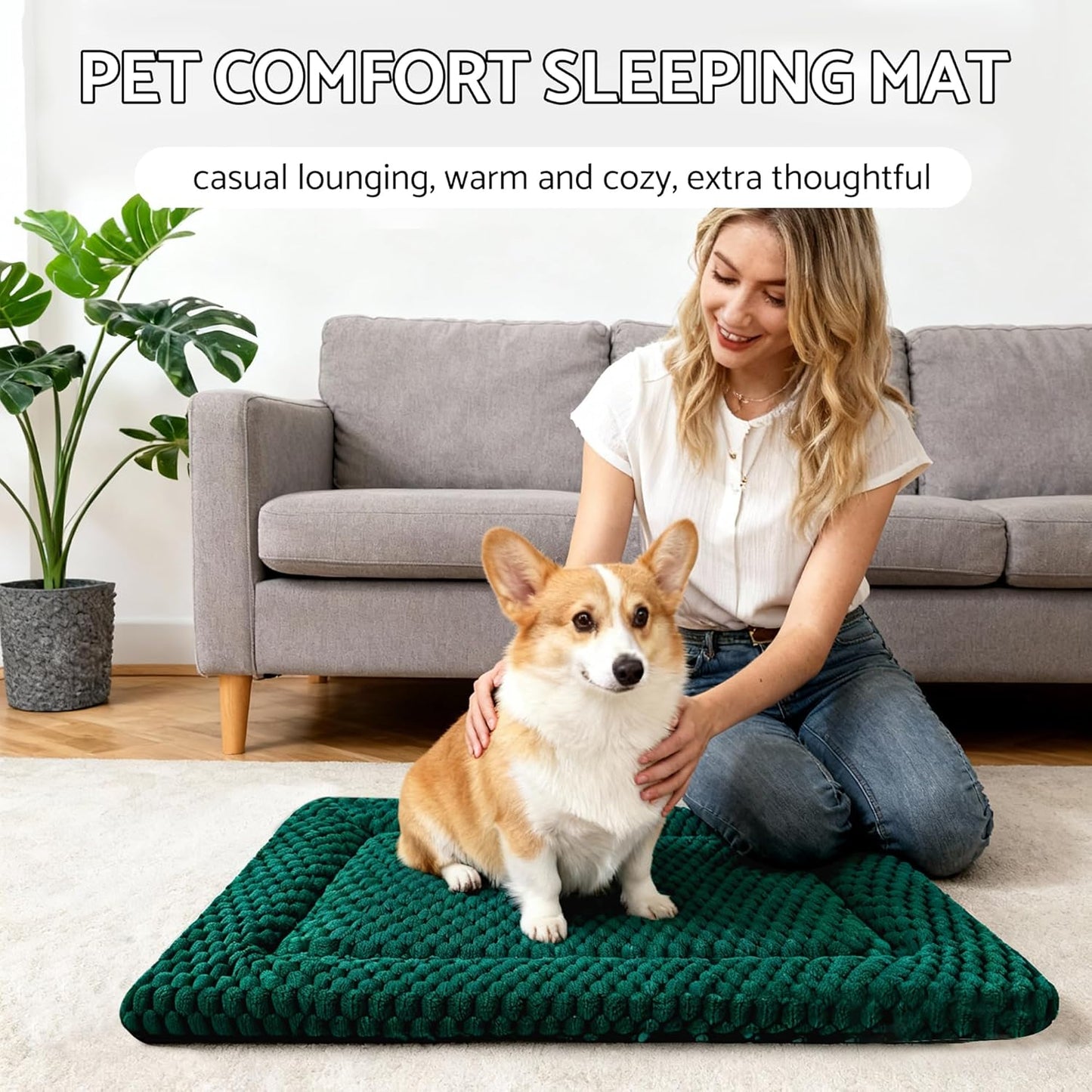 Dog Bed Mat, Reversible Crate Pad & Cute Dog Bed - Machine Washable Kennel Mat with Ultra Soft for Small Dogs (Cool/Warm), 24" x 18", Grey&Star