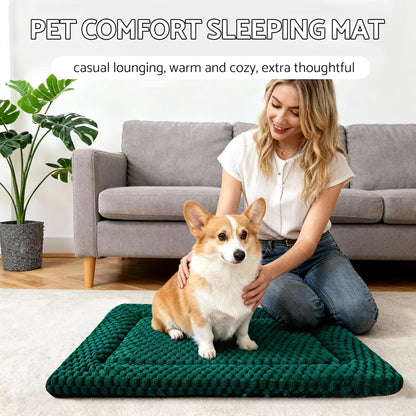 Dog Bed Mat, Reversible Crate Pad & Cute Dog Bed - Machine Washable Kennel Mat with Ultra Soft for Small Dogs (Cool/Warm), 24" x 18", Grey&Star