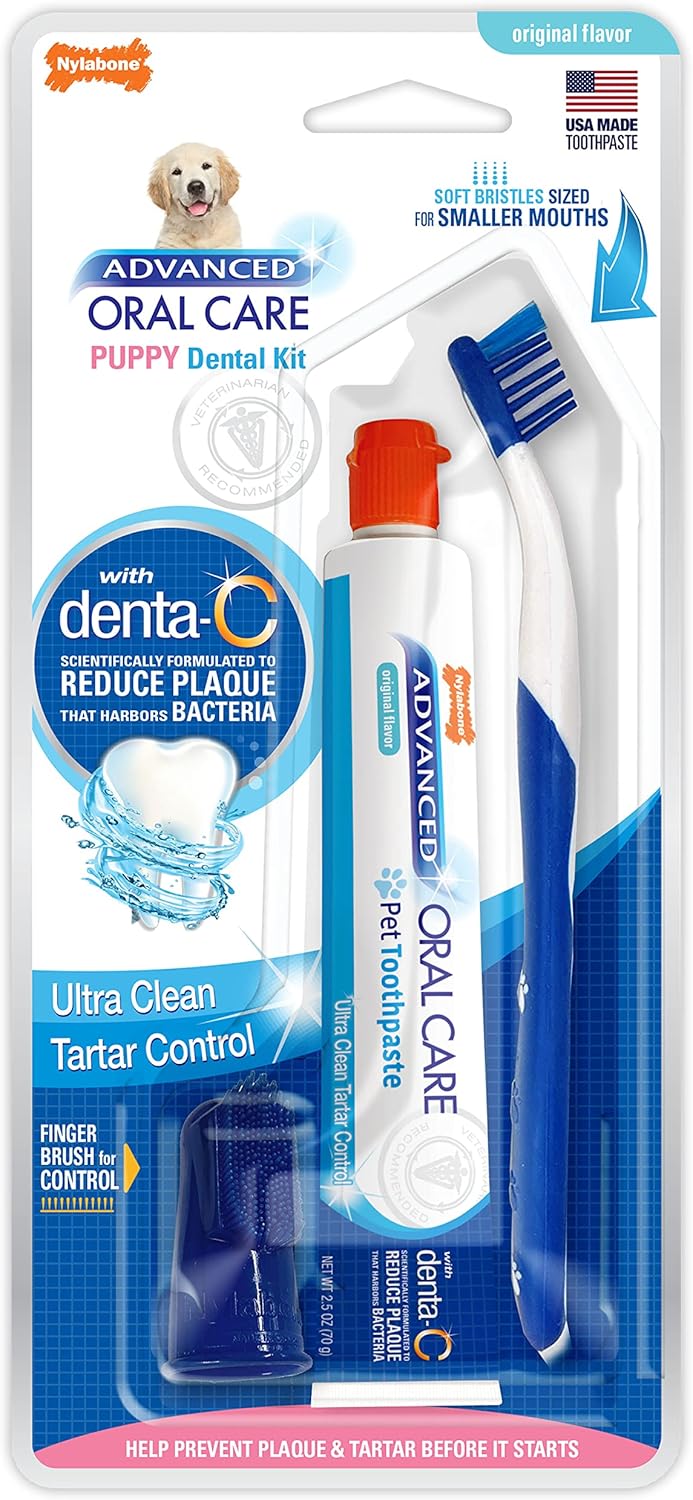 Nylabone Advanced Oral Care Natural Dog Dental Kit Peanut Flavor 2.5 oz.