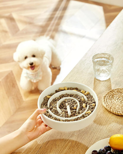 Ceramic Slow Feeder Dog Bowls, 2.0 Cups Slow Feeder for Medium Dogs, Puzzle Maze Bowl to Slow Down Eating, 30oz, 8in, White