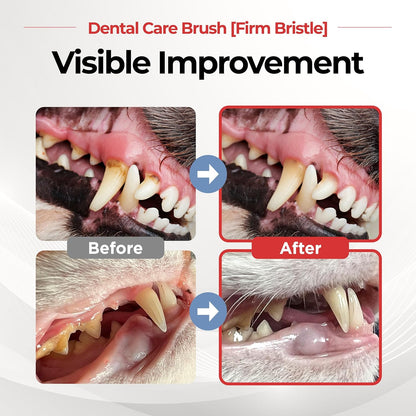 JAYU PET Dental Care Brush with Soft Bristles 1ea - Dog Toothbrush, Cat Toothbrush, Dental Care for Kitten and Small Dogs, Removing Old Plaque and Tartar, Easy Cleaning