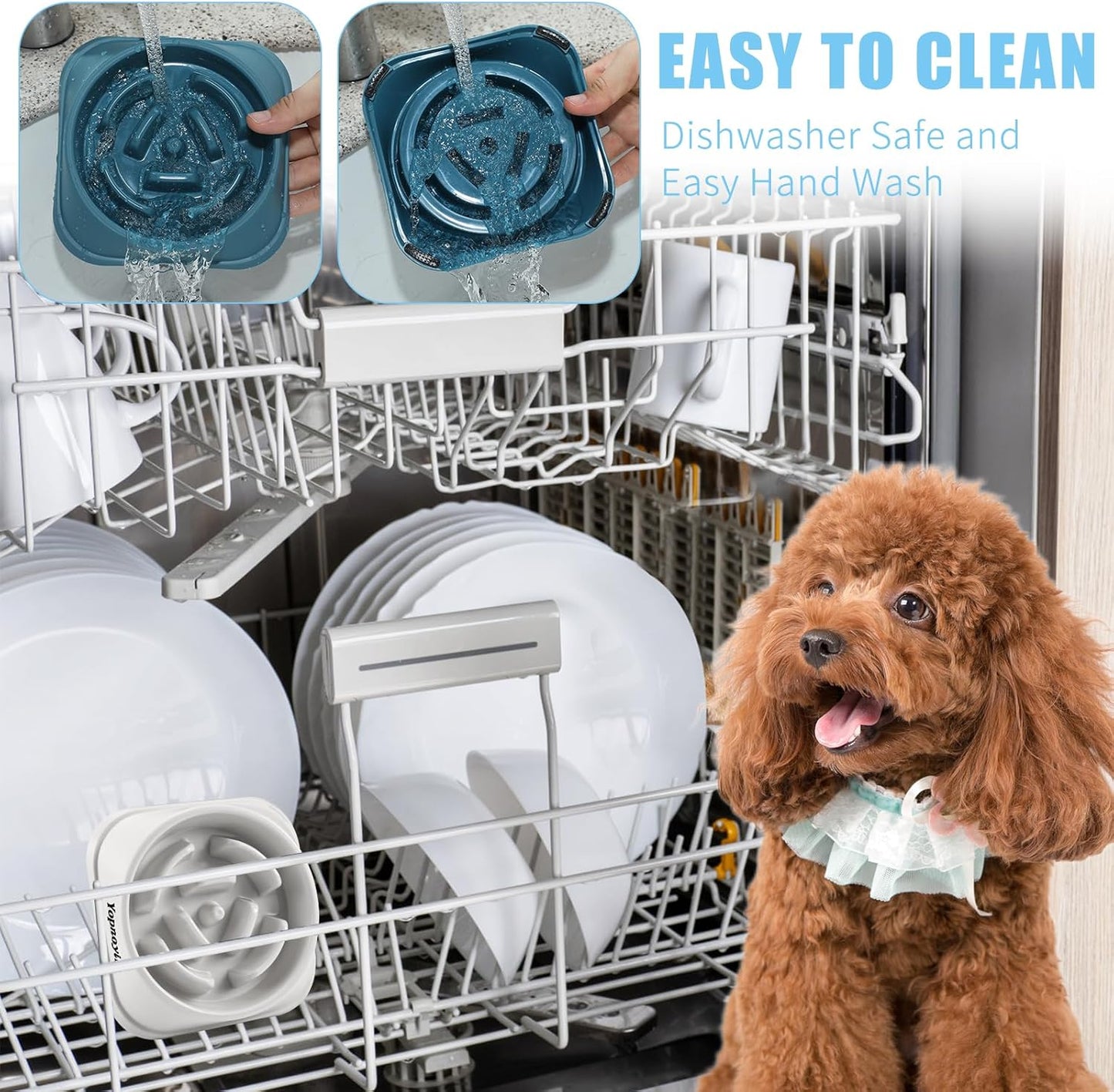 2 Pack Slow Feeder Dog Bowls for Healthy Eating, Non-Slip and Anti-Choking Design, Reduces Bloating & Overeating for Medium Dogs and Cats, Easy to Clean
