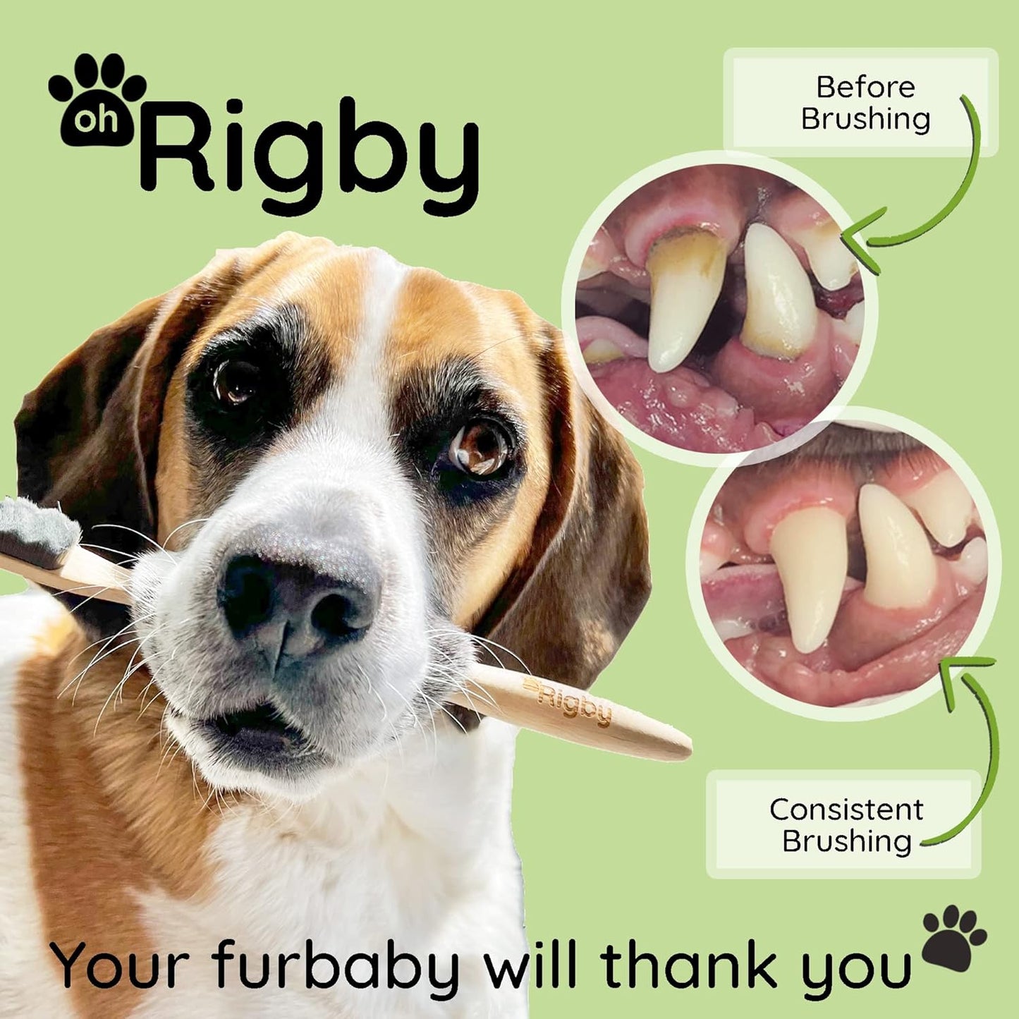 Dog Toothbrush- 10,000 Ultra-Soft Bristles for Sensitive Pet Teeth & Gums- Natural Bamboo Toothbrush for Comfortable, Gentle Deep Cleaning