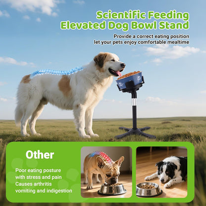 Dog Bowls Elevated Adjustable Stand, Raised Bowl with 3 Heights & Tilted Feeding Stand, Compatible with Various Bowls, for Medium & Large Breeds (1 Pack) Black