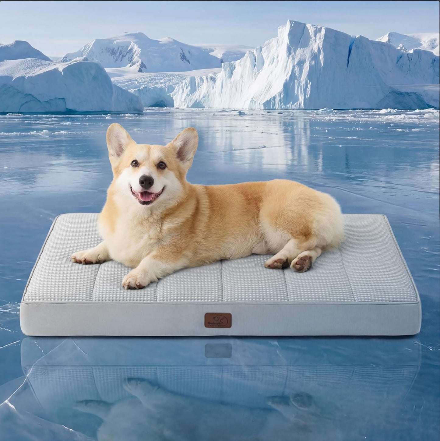 Bedsure Dog Beds Large Sized Dog - Comfy Flat Pet Beds with Removable Washable Cover, Orthopedic Egg Crate Foam Puppy Mat, Suitable for Pet Up to 65 lbs