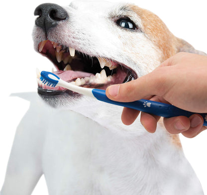 Nylabone Advanced Oral Care Natural Dog Dental Kit Peanut Flavor 2.5 oz.