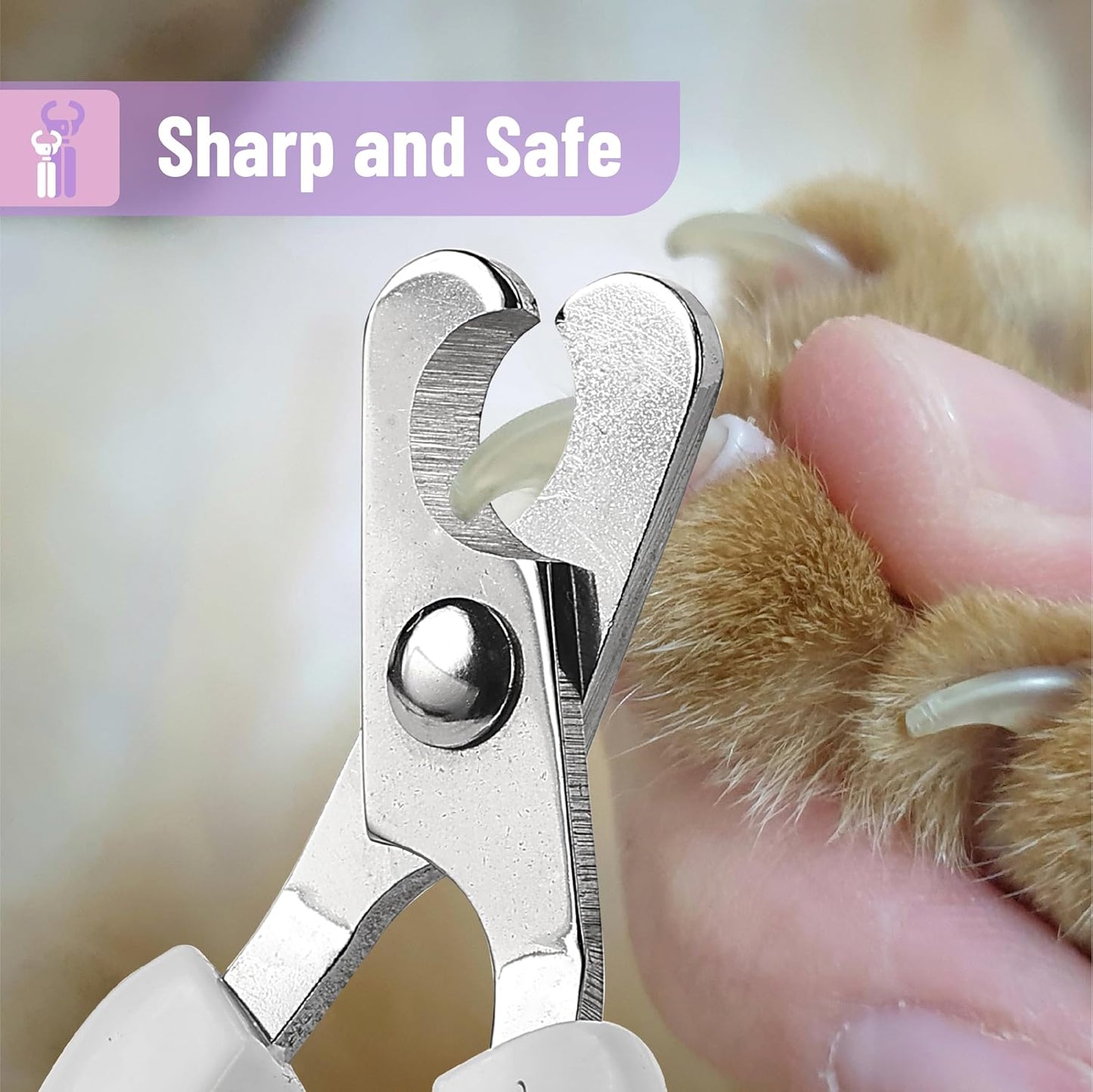 Mr. Pen- Cat Nail Clipper, Stainless Steel, Professional Sharp Cat Claw Trimmer for Small and Medium Cats, Pet Nail Clipper with Sturdy Non Slip Handle