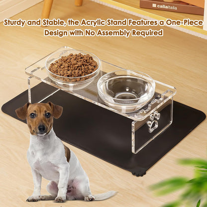 Elevated Dog & Cat Bowls – 3.75” Acrylic Raised Pet Feeder Stand with 2 Stainless Steel & 2 Glass Bowls – Food & Water Dish Set for Puppy/Small Dogs & Cats