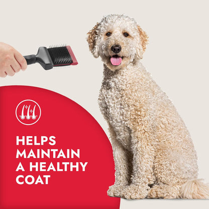 KONG Double-Sided Rake & Deshedding Tool – Detangling & Shedding Control, Rounded Metal Tips, Non-Slip Grip, for Medium to Large Dogs with Medium to Long Coats, Red/Gray