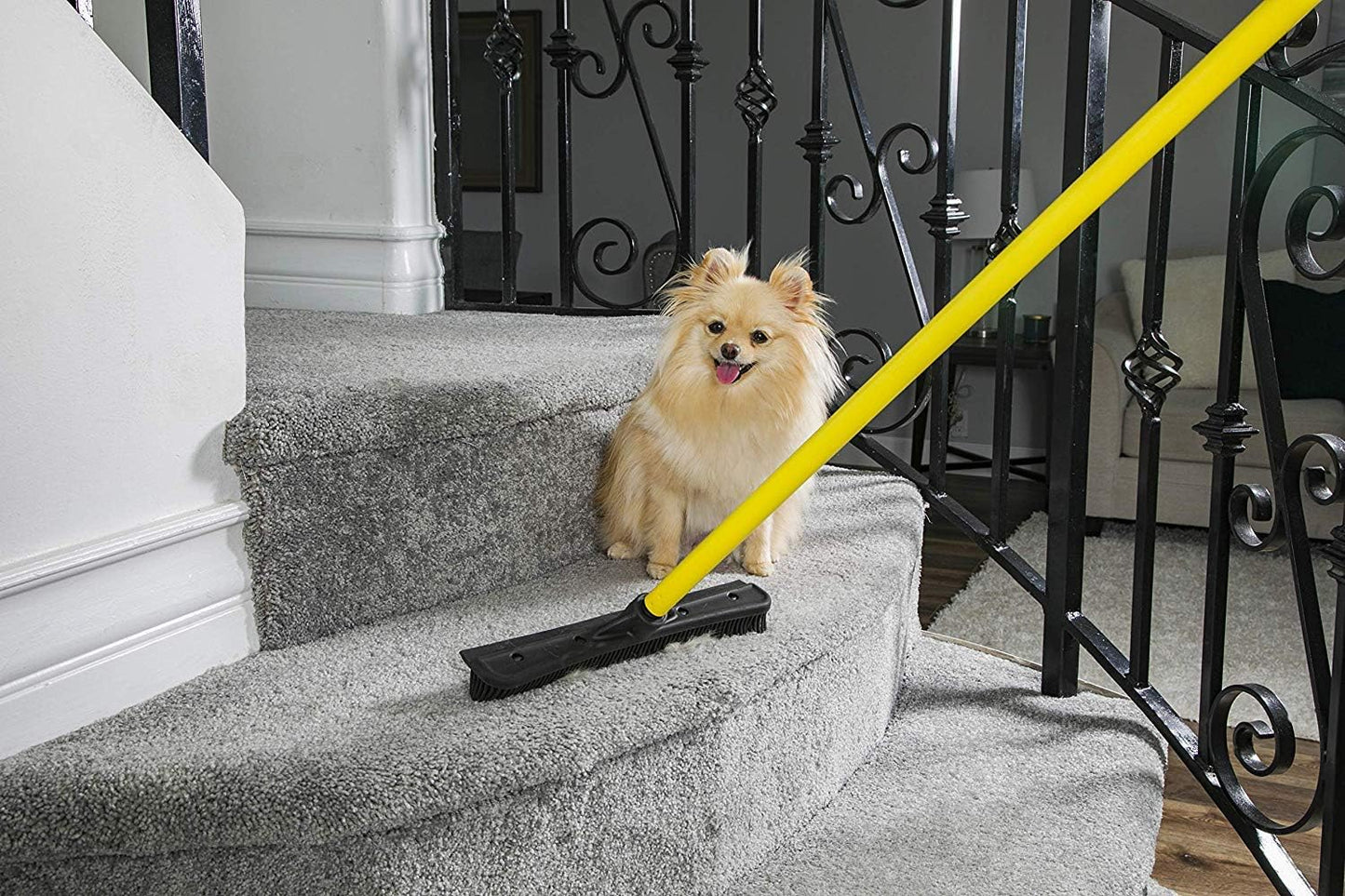 Simpli-Magic Fur Removing Push Broom with Squeegee