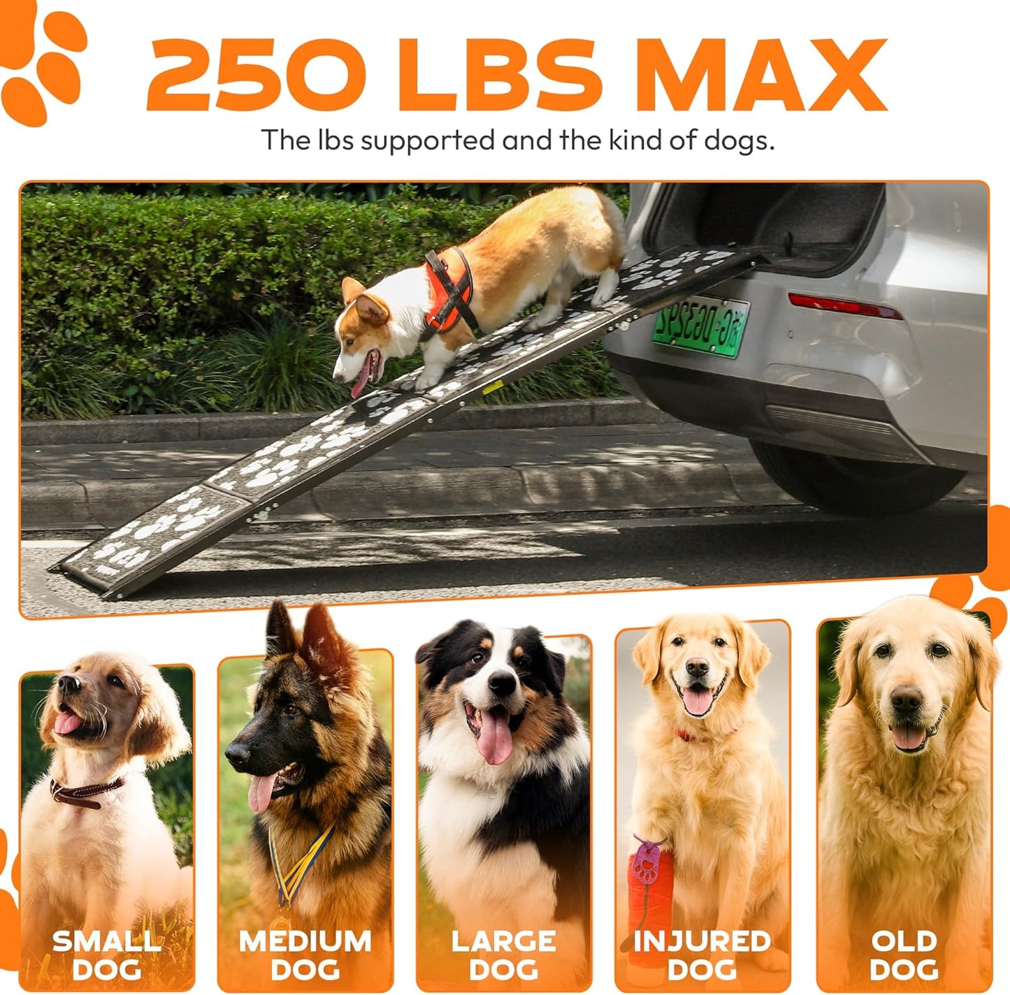 Dog Ramp for Car 71"x17.2" Wide Portable Folding Pet Ramp with Non-Slip Surface. Extra Wide Portable Ramp for Large, Small & Senior Dogs to Get in Cars, SUVs, Trucks & Beds, Up to 250LBS