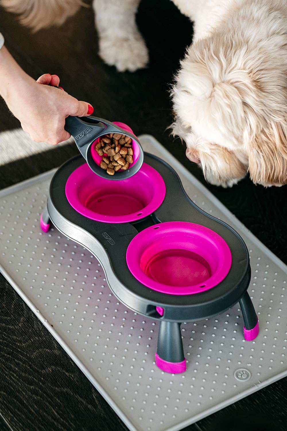 Dexas Pets Collapsible KlipScoop Collapsible Dry Dog Food Scoop and Dog Food Bag Clip, 1 Cup Capacity, Pro Blue