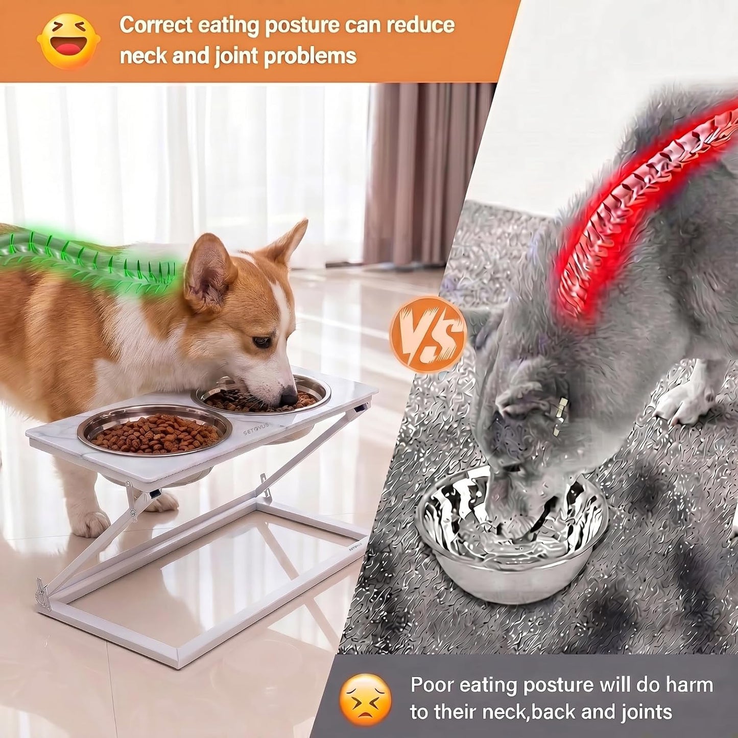Elevated Dog Bowls, Adjustable Raised Dog Bowl Stand with 2 Stainless Steel Food Bowls 20°Tilted Water Bowls for Medium Small Sized Dogs (Black, Medium)