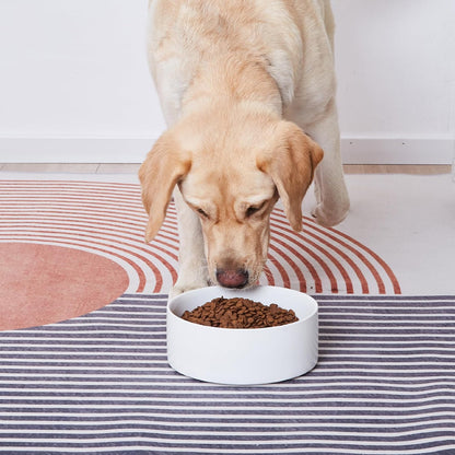 6'' Ceramic Raised Dog Bowl - 30Oz Dog Food & Water Bowl with Elevated Non-Slip Bamboo Stand, Dishwasher & Microwave Safe, Anti Vomiting Heavy Duty Pet Bowl for Small and Medium Dogs, White