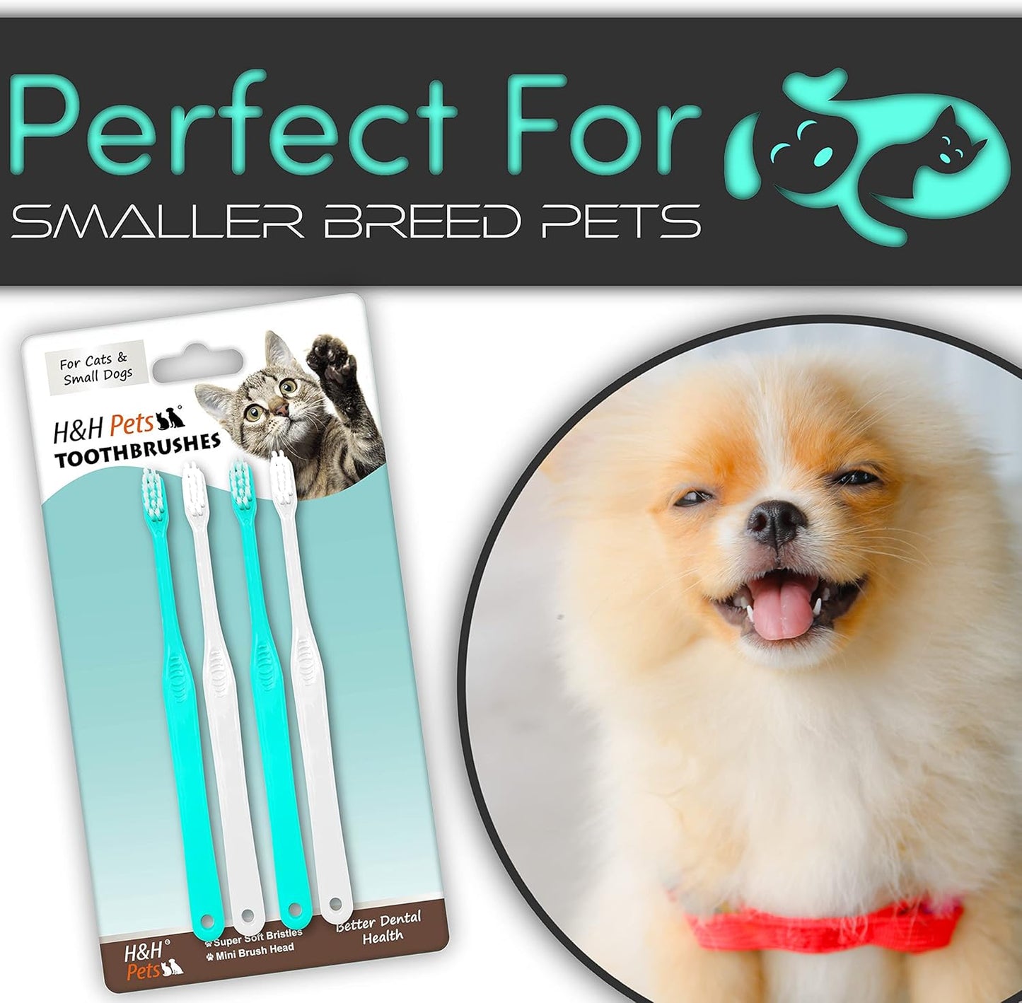 H&H Pets Toothbrush for Small Dogs & Cats - Soft and Extra Small Toothbrush Designed for Cats, Puppies, and XS Breed Dogs Like Teacups, Chihuahuas, Yorkshire, and Poodle, 8 Count Pack