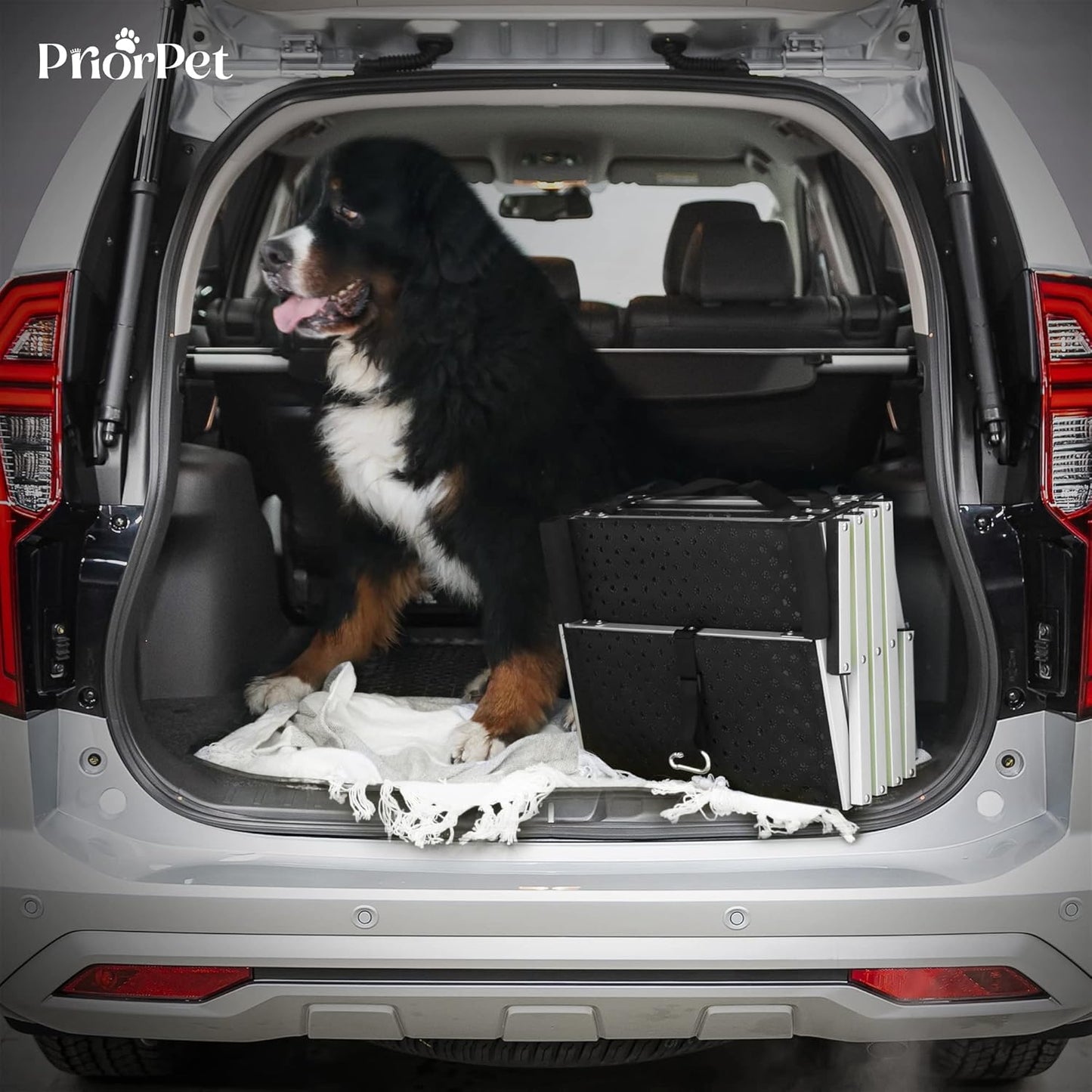 Dog stairs for large dogs PRIORPET - Glow in The Dark Marking - Foldable Dog ramp for Car and Small SUV - Dog steps for Car - Non-Slip Surface - Dog ramps for large dogs - 4 Steps