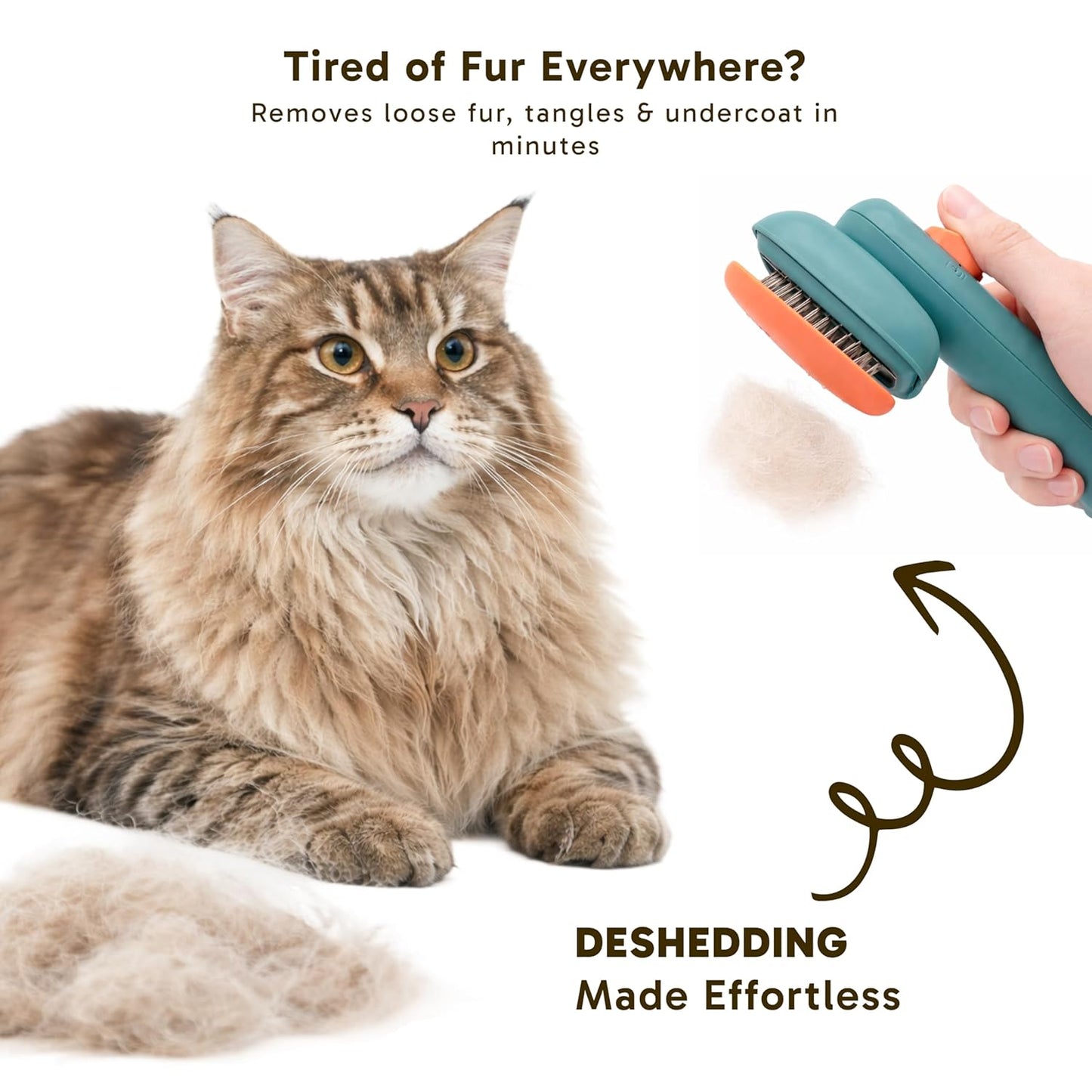 Wolfster Self Cleaning Slicker Brush for Dogs & Cats - Skin-Friendly Deshedding Brush & Undercoat Rake for Short, Medium and Long Hair Pets, Reduces Shedding by 90% (Parrot Green)
