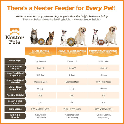 Neater Feeder Express Mess Proof Dog Bowls Elevated for Small Breeds under 15 Lb, Made in USA, No Spill Raised Dog Food Bowl Stand, Stainless Steel Food and Water Bowl Set, Feeding Station, Cappuccino