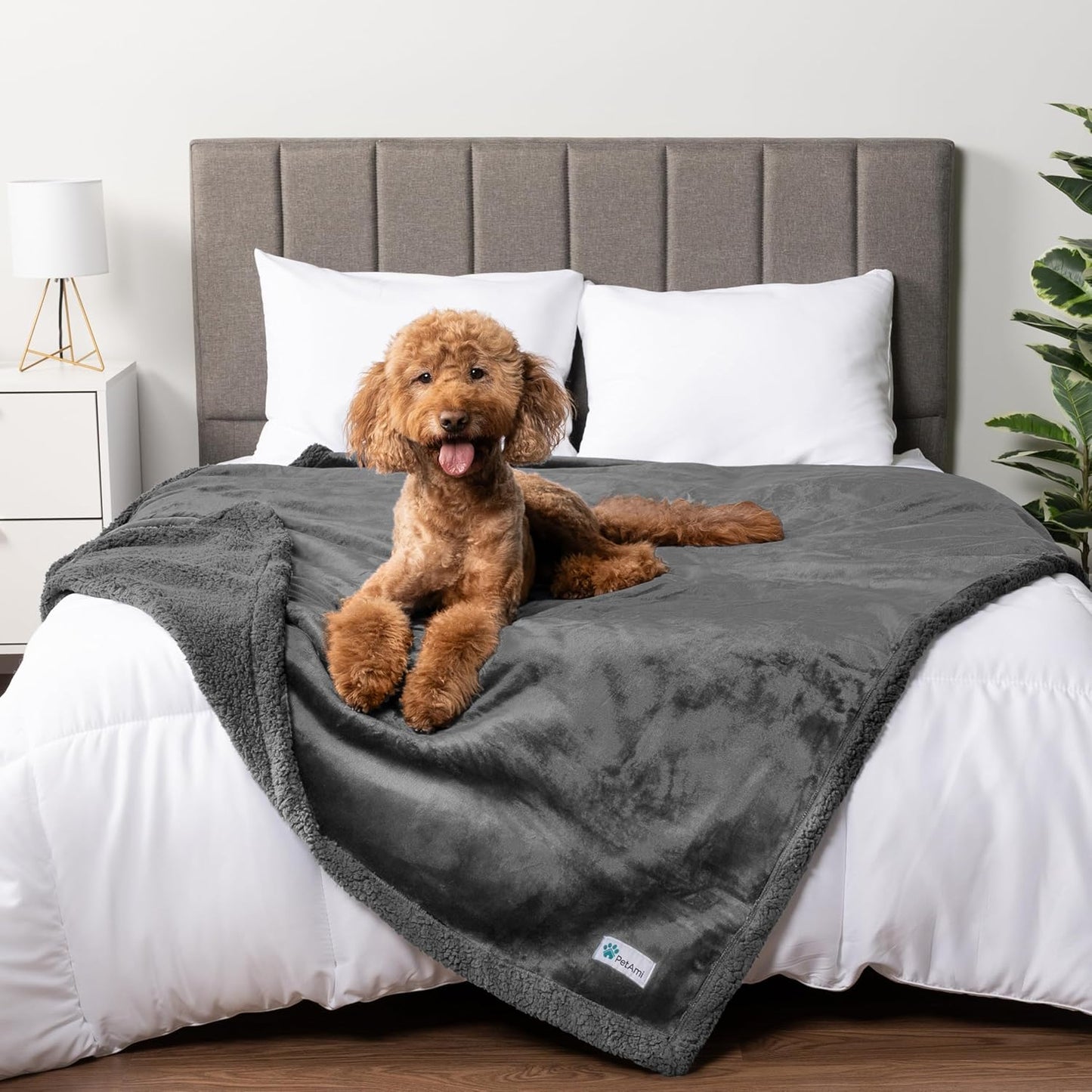 PetAmi Waterproof Dog Blanket for Couch, Large 60x40, Pee Proof Sherpa Fleece Reversible Pet Throw, Furniture Protector for Bed Sofa Kennel, Soft Washable Cover for Medium Dogs Cats, Grey Sherpa
