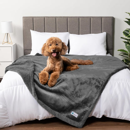 PetAmi Waterproof Dog Blanket for Couch, Large 60x40, Pee Proof Sherpa Fleece Reversible Pet Throw, Furniture Protector for Bed Sofa Kennel, Soft Washable Cover for Medium Dogs Cats, Grey Sherpa