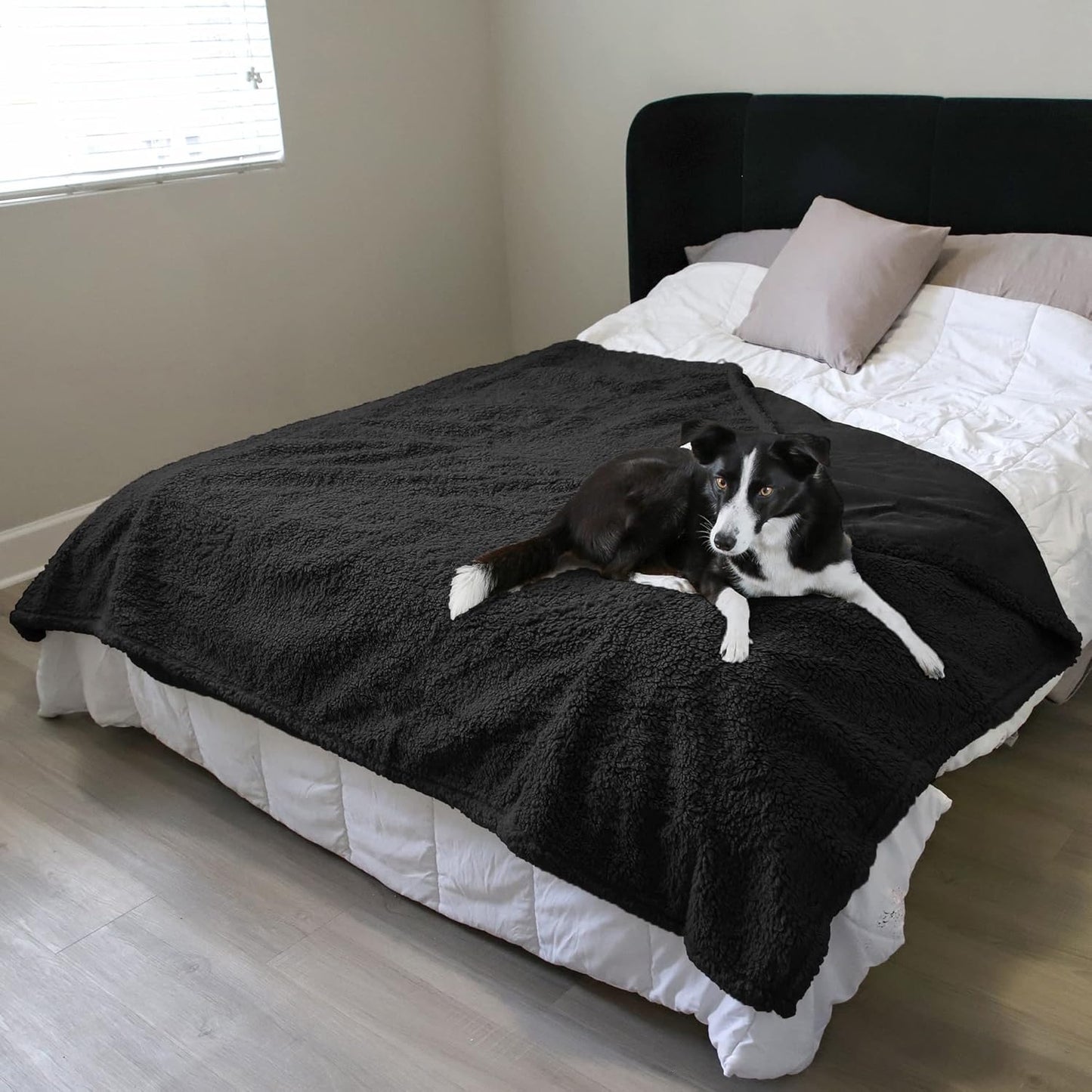 Kritter Planet Waterproof Dog Blanket, Reversible Water Proof Pet Blanket for Couch, Bed & Sofa, Washable Couch Covers for Large Dogs - Protects Furniture from Fur, Dirt, and Accidents