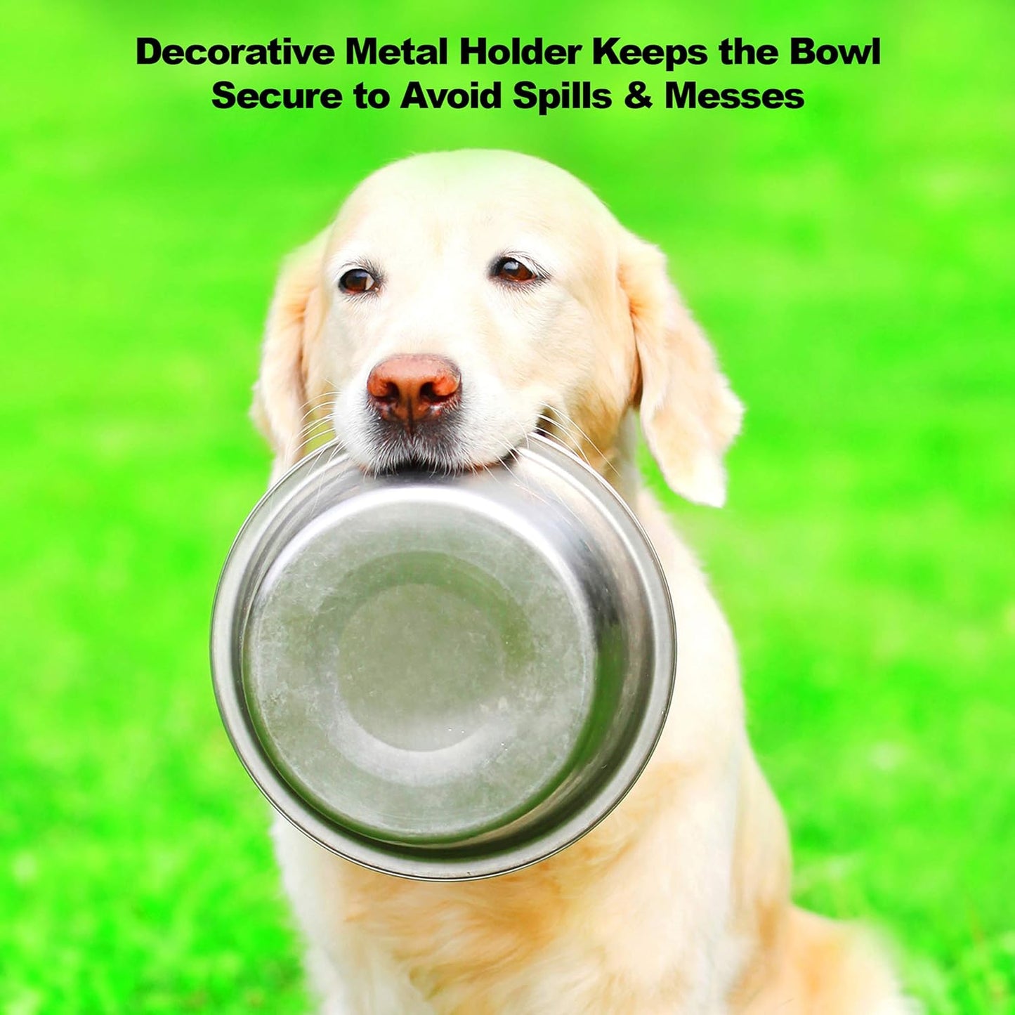 Set of 2 Stainless Steel Dog Bowls - 40oz Pet Bowls with Decorative Dog Food Stand - Metal Food and Water Dishes for Large Pets - Puppy Essentials by PETMAKER (Silver/Black)