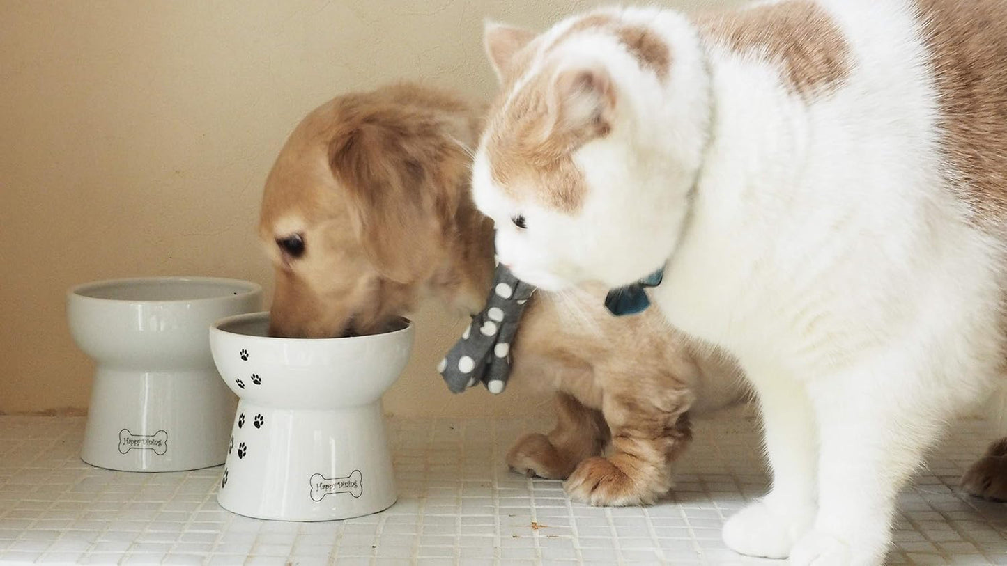 Necoichi Raised Dog Food Bowl, Elevated, for Dogs and Cats, Pets Feeding Feeder Non-Slip for Small Dogs Dishwasher and Microwave Safe, No.1 Seller in Japan! (Dog, Extra Wide Tilted)