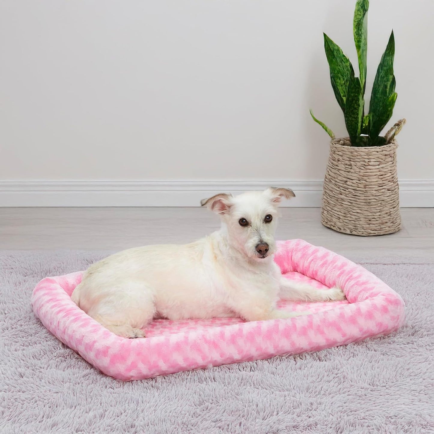 MidWest Homes for Pets QuietTime Dog Bed - White Fleece Bolster, Ultra-Soft and Machine Washable, Fits 24-Inch Crates and Carriers, for Small Breed Dogs